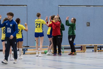 Bild 292 - F HSG Pinnau2 - Rellinger TV2 : Ergebnis: 27:20